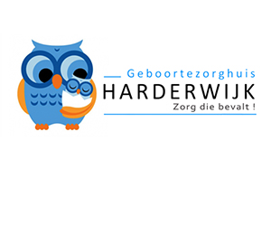 Website Geboortezorghuis