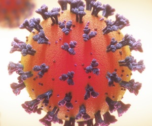 Het coronavirus